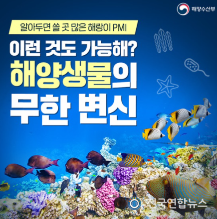 해양수산부