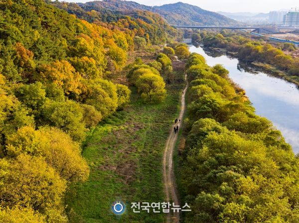 월평공원 갑천습지