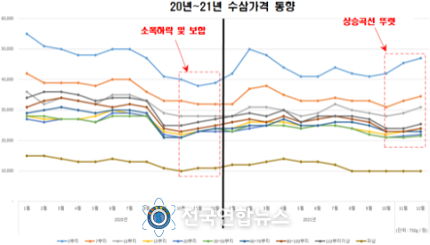 2020년~2021년 수삼가격 동향 그래프