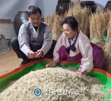 김정구 씨 집에서 지난 17일 진행된 당주 담그기