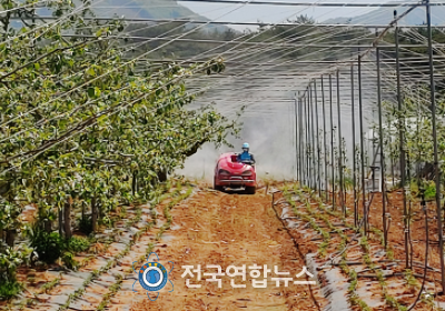지난해 5월 고북면에 위치한 한농원(사과농장)에서 과수화상병 방제약제를 살포하는 모습