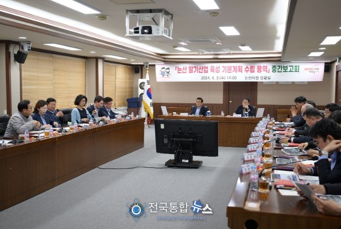 논산 딸기산업 육성 기본계획 수립 용역 중간보고회 중